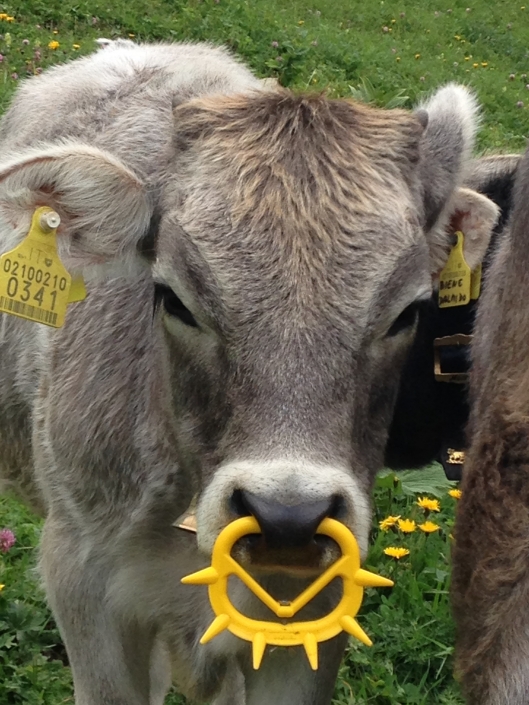 1. Tag: Oberstdorf – Holzgau