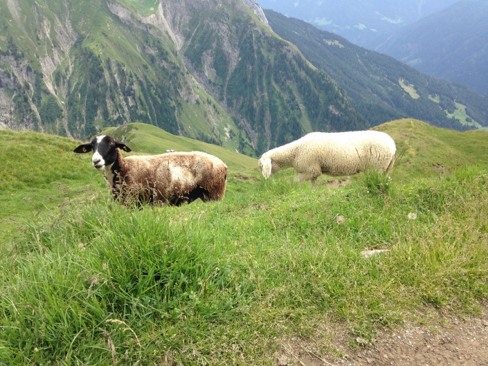 2. Tag: Holzgau – Zams