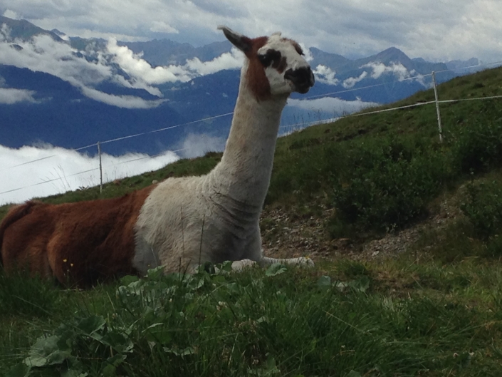 3. Tag: Zams – Wenns