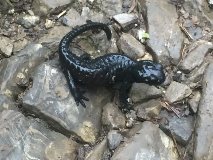 1. Tag: Oberstdorf – Holzgau