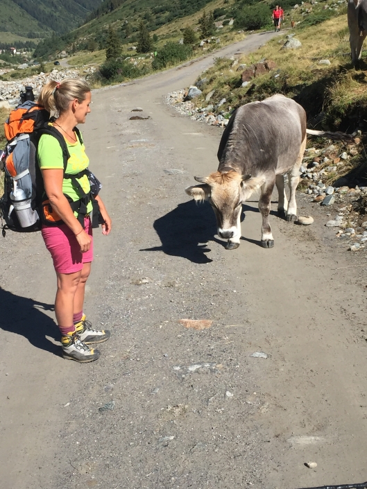 4. Tag: Wenns – Vent